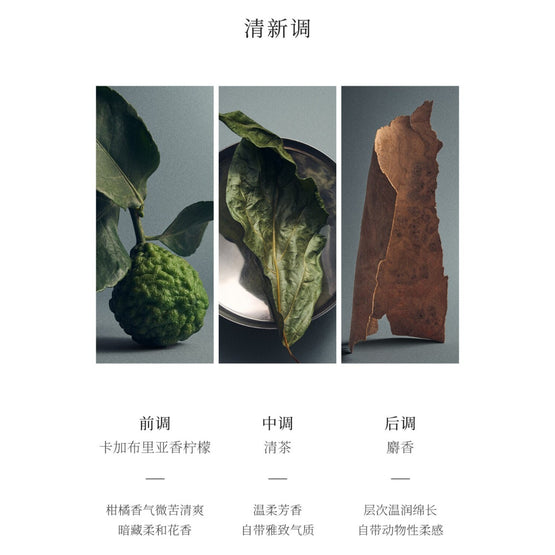 Fragrance Gift Set, Christmas Limited Edition