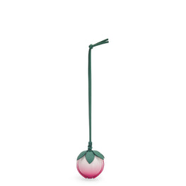 Women Peach Pouch - Peach Bloom