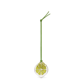 Women Lime Charm - Spring Green