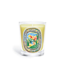 Citronnelle Limited Edition Classic Candle [190g]