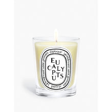 Eucalyptus Classic Candle [190g]