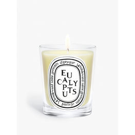Eucalyptus Classic Candle [190g]