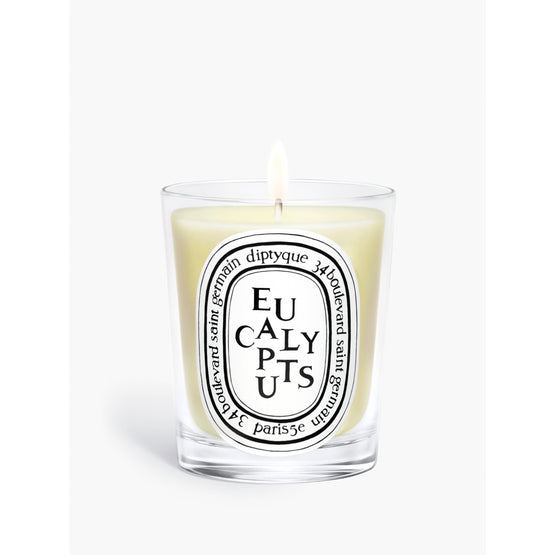 Eucalyptus Classic Candle [190g]