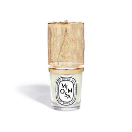 Limited Edition Lantern and Classic Candle Set [190g]