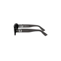 Men Dior Oblique S2I - Grey/Other / Smoke