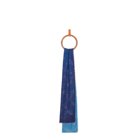 Women 45X200 Cyanotype Scarf - Blue