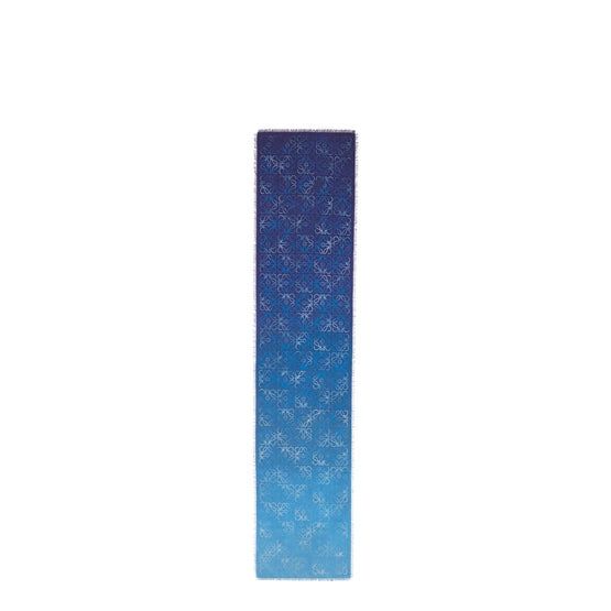 Women 45X200 Cyanotype Scarf - Blue