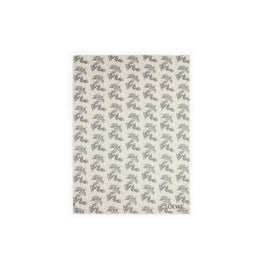 Women 140X200 Shawl - White/Grey