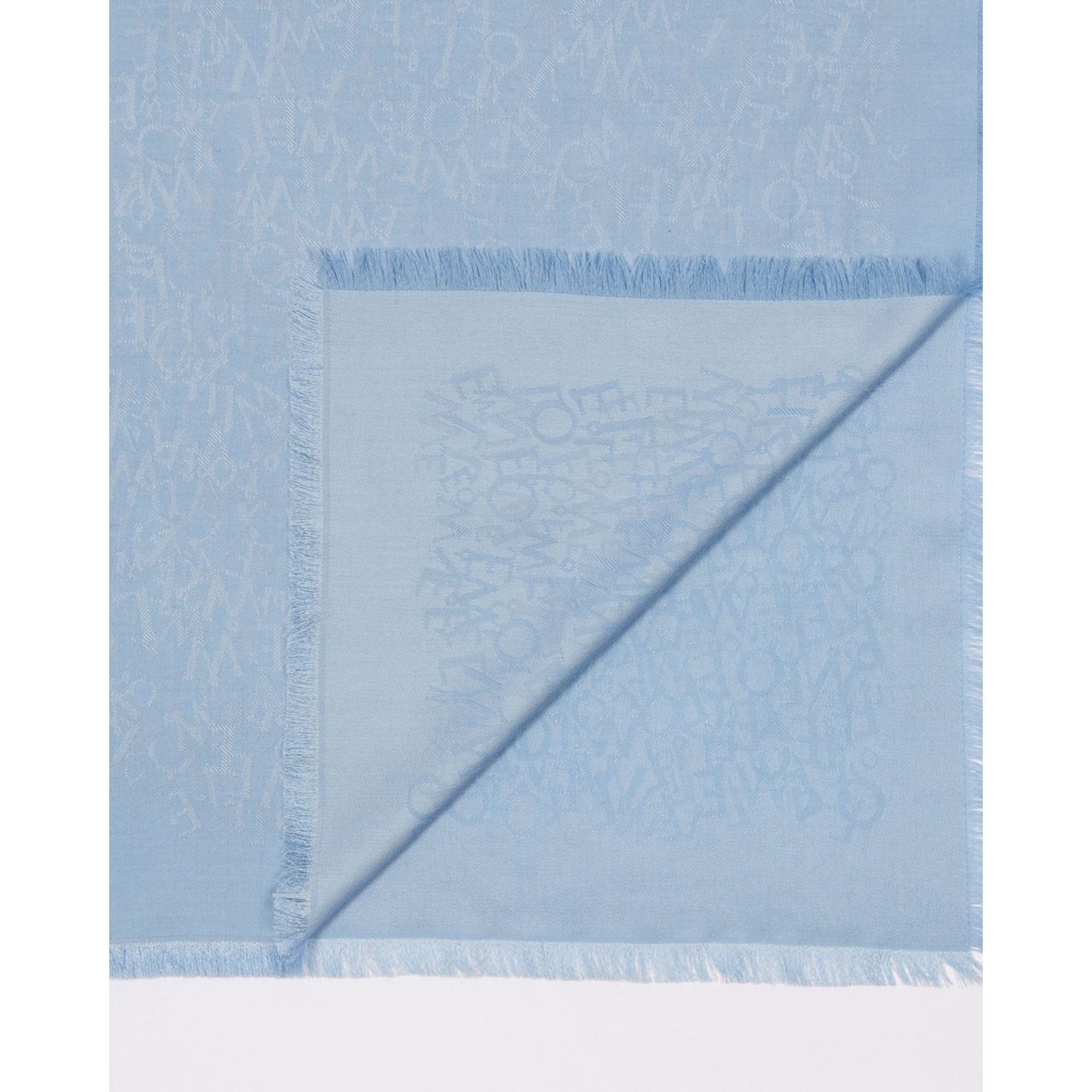 Women 45X200 Loewe Scarf - Baby Blue