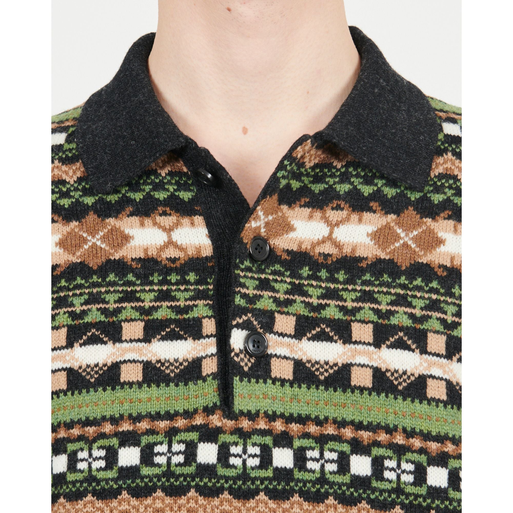 Men Polo Sweater - Green/Multicolor