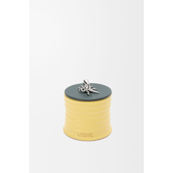 Unisex Octopus Candle Lid - Vetiver