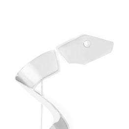 Women Serpent Brooch - Silver