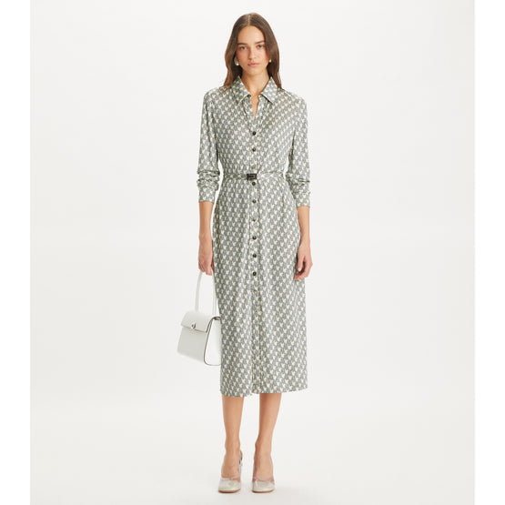Women Printed Viscose Shirtdress - Blue Mini Zebra