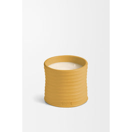 Unisex Wasabi Medium Candle - Yellow