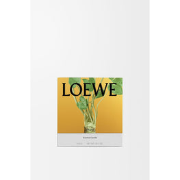 Unisex Wasabi Medium Candle - Yellow