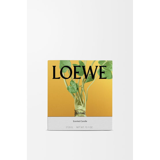 Unisex Wasabi Large Candle - Yellow